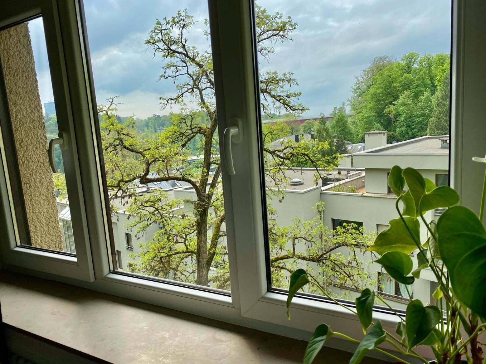 Hotel Rue Des Glacis Limpertsberg Lussemburgo Esterno foto